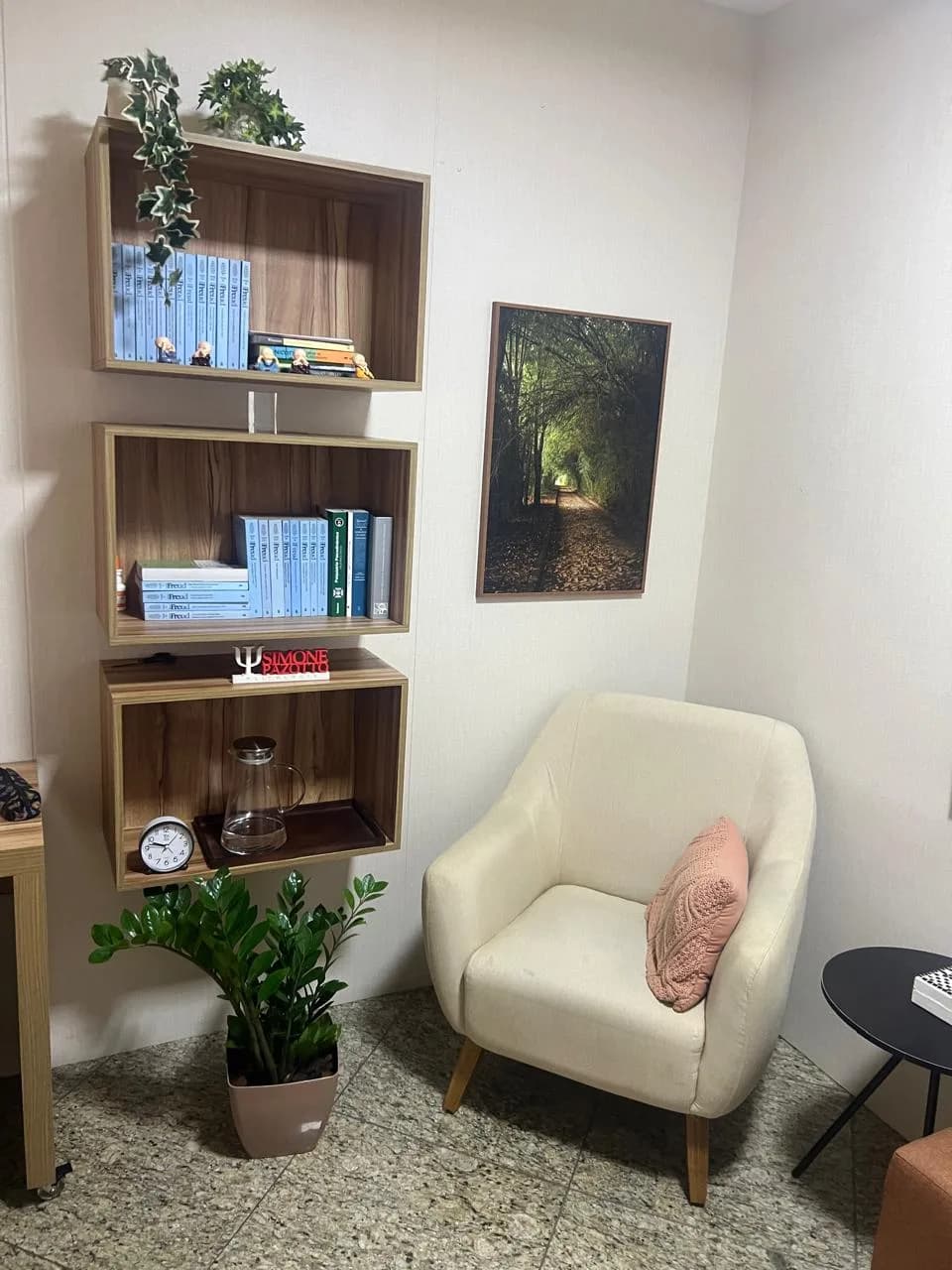 Sala de atendimento do consultório de Simone Pazotto em Alphaville, com poltrona e estante de livros de psicanálise